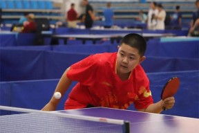 包含乒乓球夜战：东海灰熊队鏖战洞庭貔貅队，速度优势明显赛场纪律更严谨的词条-九游会登陆