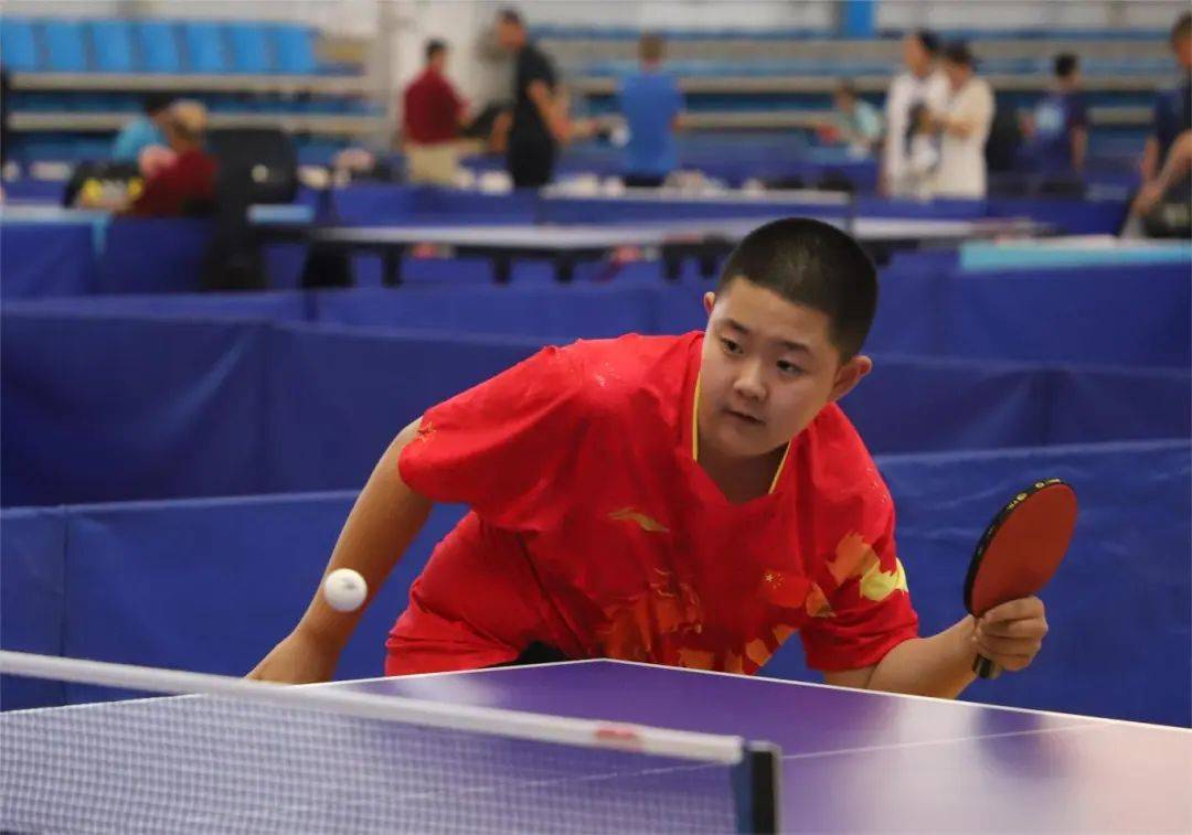 包含乒乓球夜战：东海灰熊队鏖战洞庭貔貅队，速度优势明显赛场纪律更严谨的词条