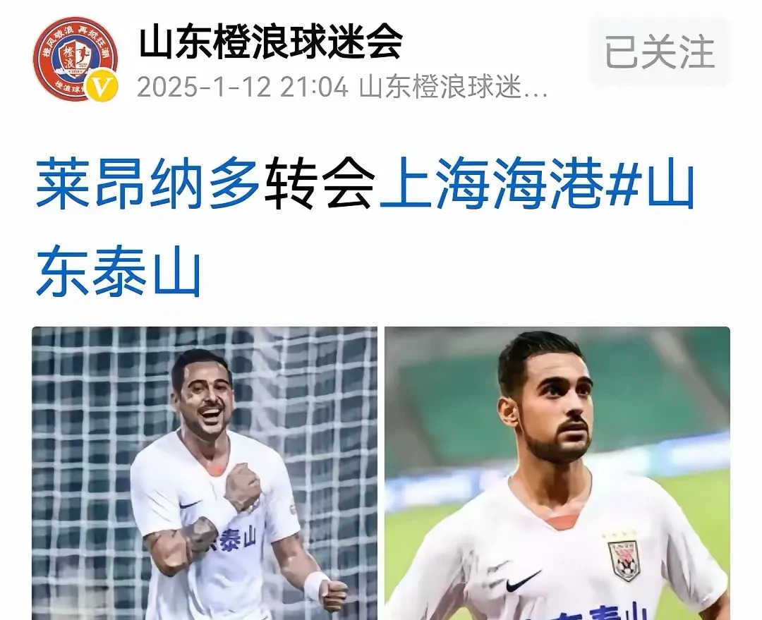  上港集团最新资讯 